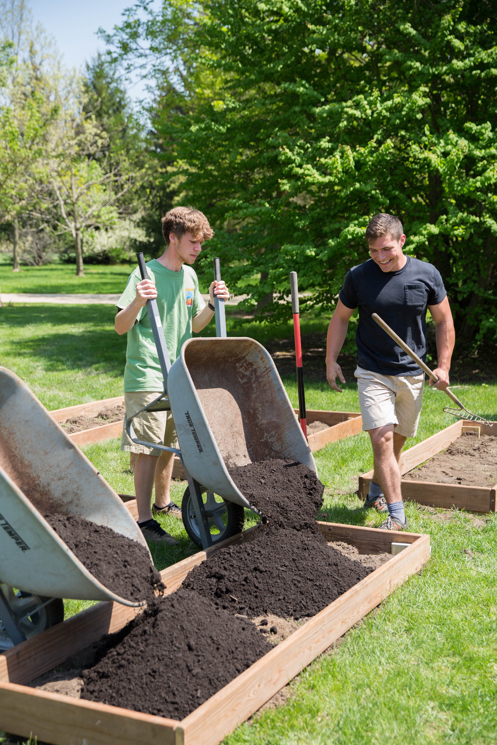 students fill garden boxes with soil